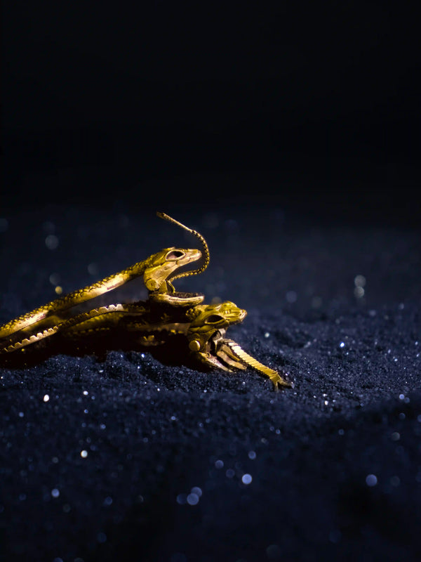 Seashas Hair clip in 18-carat gold plating on sterling silver, product photo on black – hair clip, Bhavya Ramesh