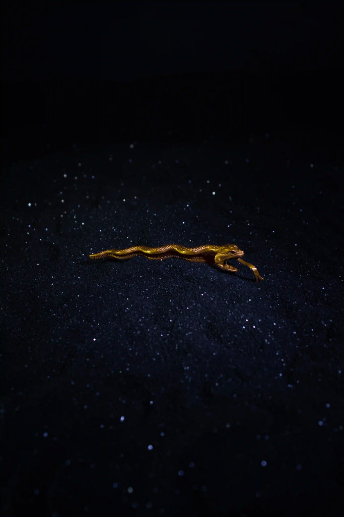 Seashas Hair clip