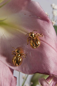 Boucle d'oreille araignée