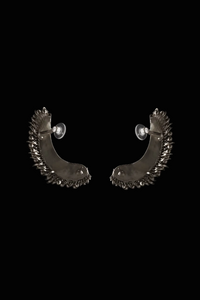 Tusk Earclips