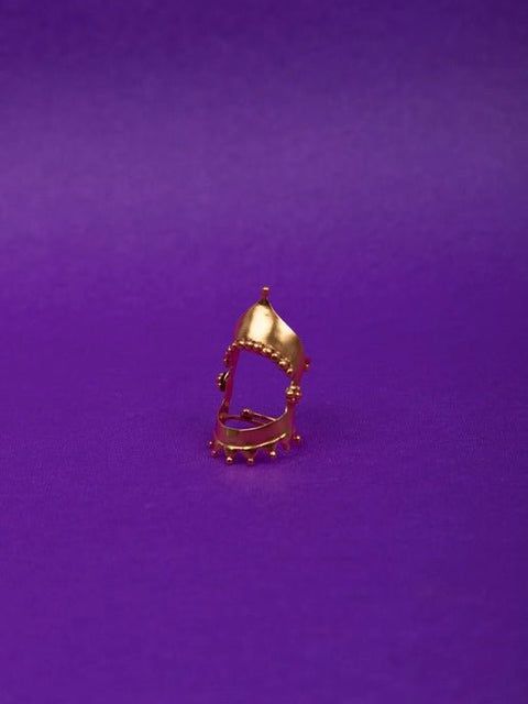 The Great White Shark in sterling silver, product photo on black – rings, Bhavya Ramesh