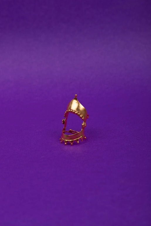 The Great White Shark in sterling silver, product photo on black – rings, Bhavya Ramesh