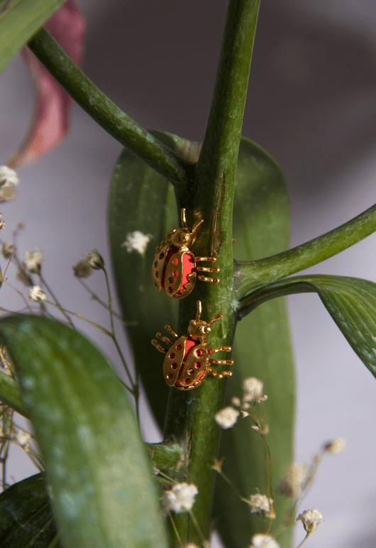 Lady Bug Earring