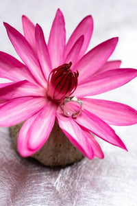 Bague audacieuse
