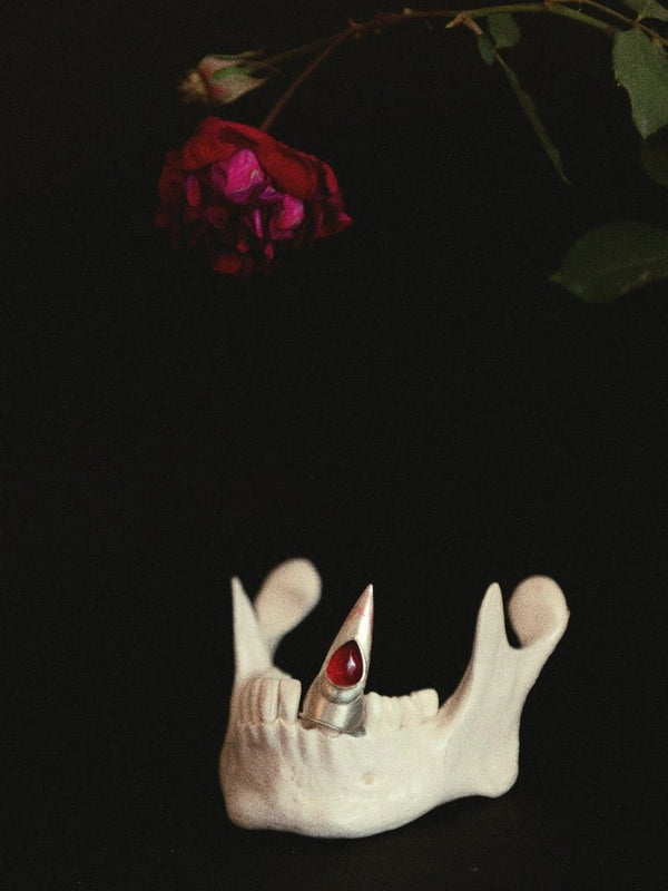 Fangs in 925 sterling silver, product photo on black – nail rings, Bhavya Ramesh