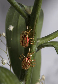 Boucle d'oreille Lady Bug