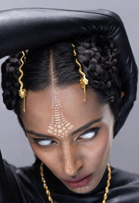 Pince à cheveux Seashas