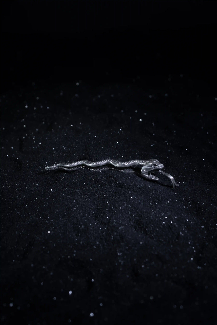 Seashas Hair clip in 925 sterling silver, product photo on black – hair clip, Bhavya Ramesh