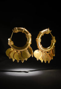 Cerceaux ShimmerShield