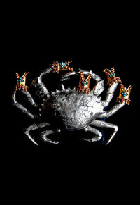 Bague à Ongles Licorne